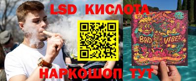 spice Новозыбков