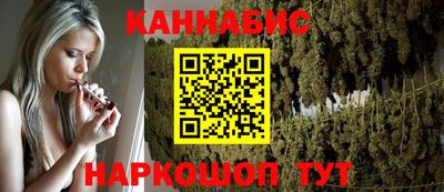 spice Новозыбков