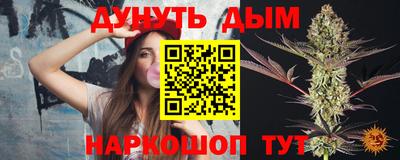 индика Новокубанск