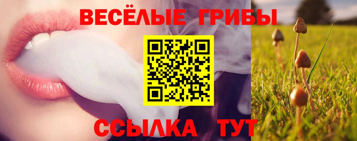 Волоколамск  Псилоцибиновые грибы Cubensis  Псилоцибиновые грибы ЛСД  Вход с VPN 