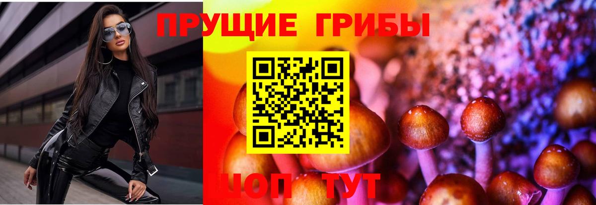 Галлюциногенные грибы прущие грибы Волоколамск